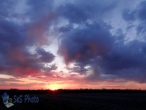 Sprinkling Sunset