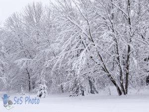 May Snow Storm