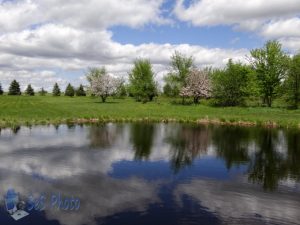 Holiday Weekend at the Pond