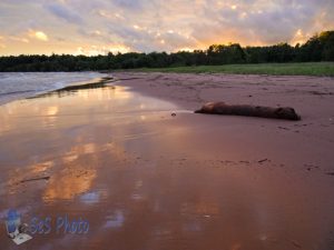 A Tranquil Beach