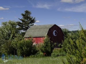 Moon Barn