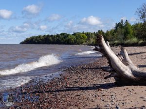 Lake Superior Swim