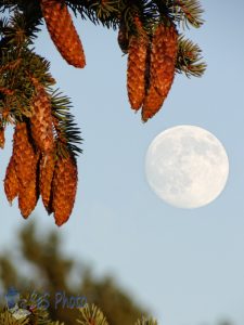 Landing on the Moon