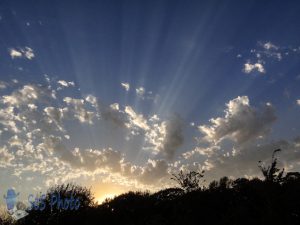 Evening Rays