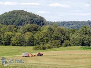 Farmer in the Field