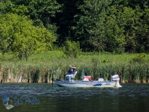 Fishing Time