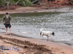 Checking out the Water