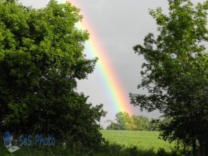 Summer Rainbow