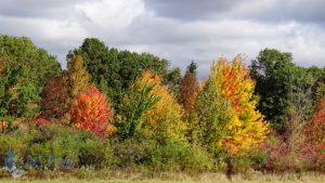 Approaching Autumn