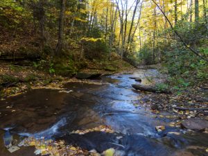 Flowing Creek