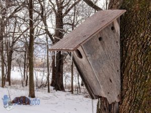 Vacant Birdhouse