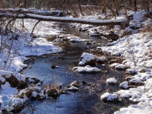 Wintertime Stream