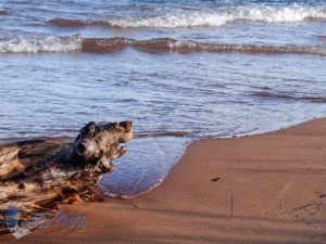 Unfrozen Beach