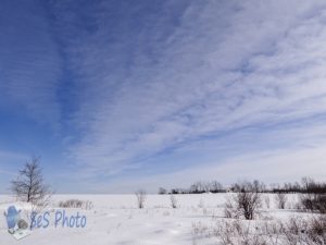 White Landscape