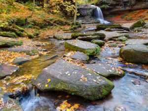 Falling in Autumn