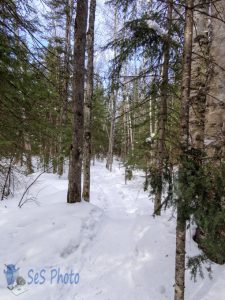 Winter Hike