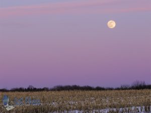 Snow Moon