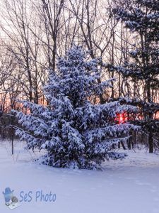 Sunset on New Snow