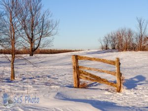 Worn Out Fence