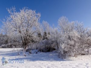 Extra White on Extra February Day