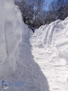 Shoveled Snow Path