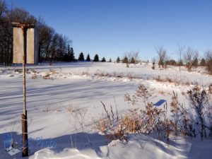 Frozen Pond