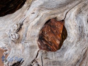 Driftwood Hole