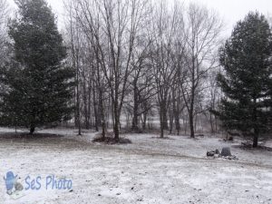 Arrival of Spring Snow