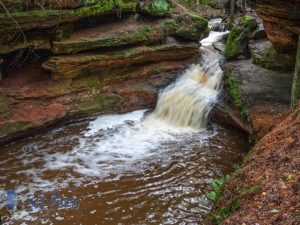 Flow at Echo Dells