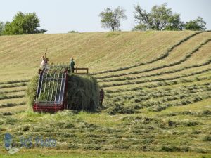 Hay Loader